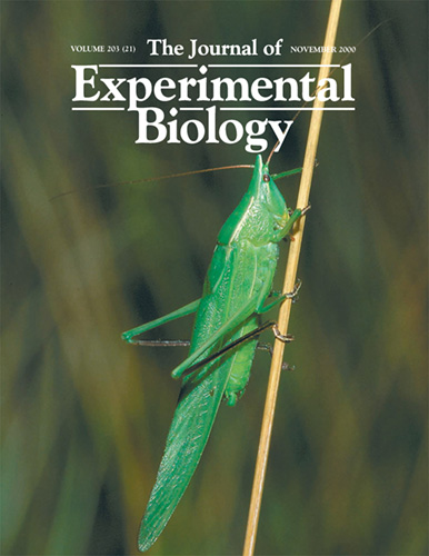 The Journal of Experimental Biology